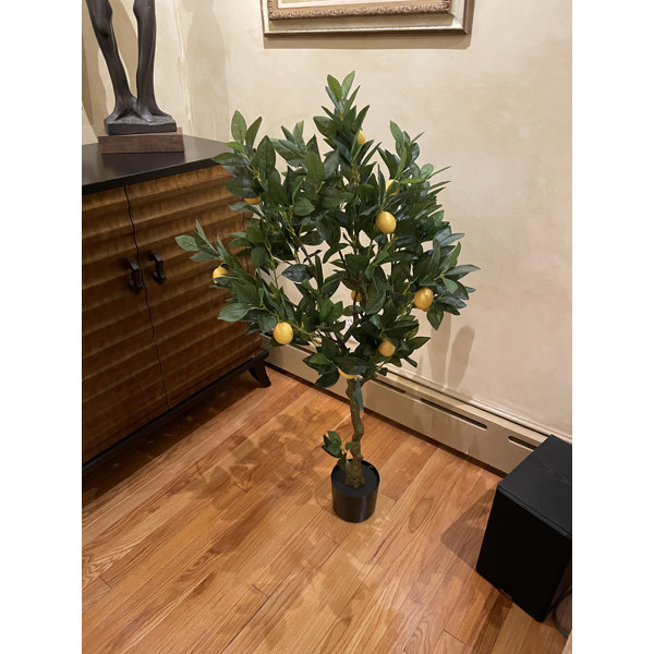 Primrue 48'' Faux Lemon Tree in Pot Wayfair